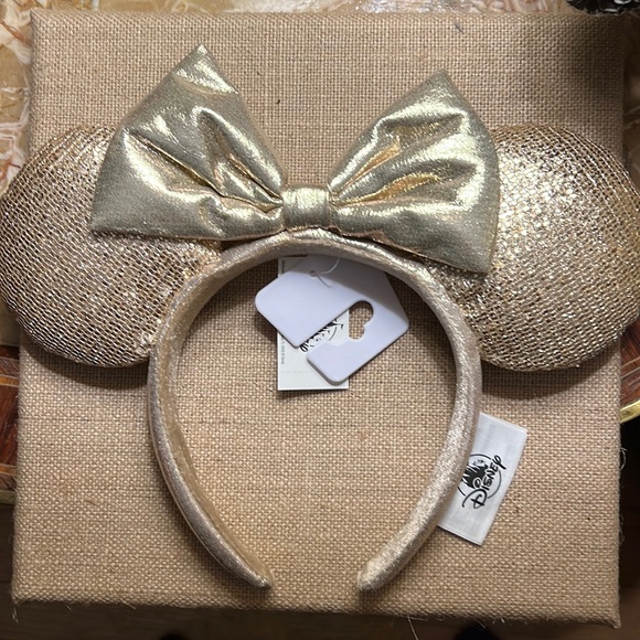 Disney Mickey/ Minnie Ears